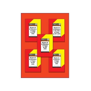 Histoire De La Littérature En France Au XVI-XX Siècle