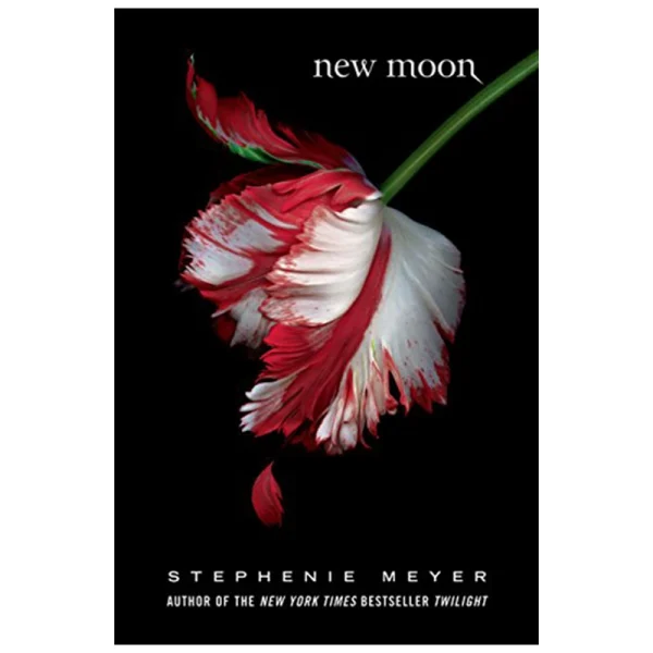 New Moon - تصویر 1